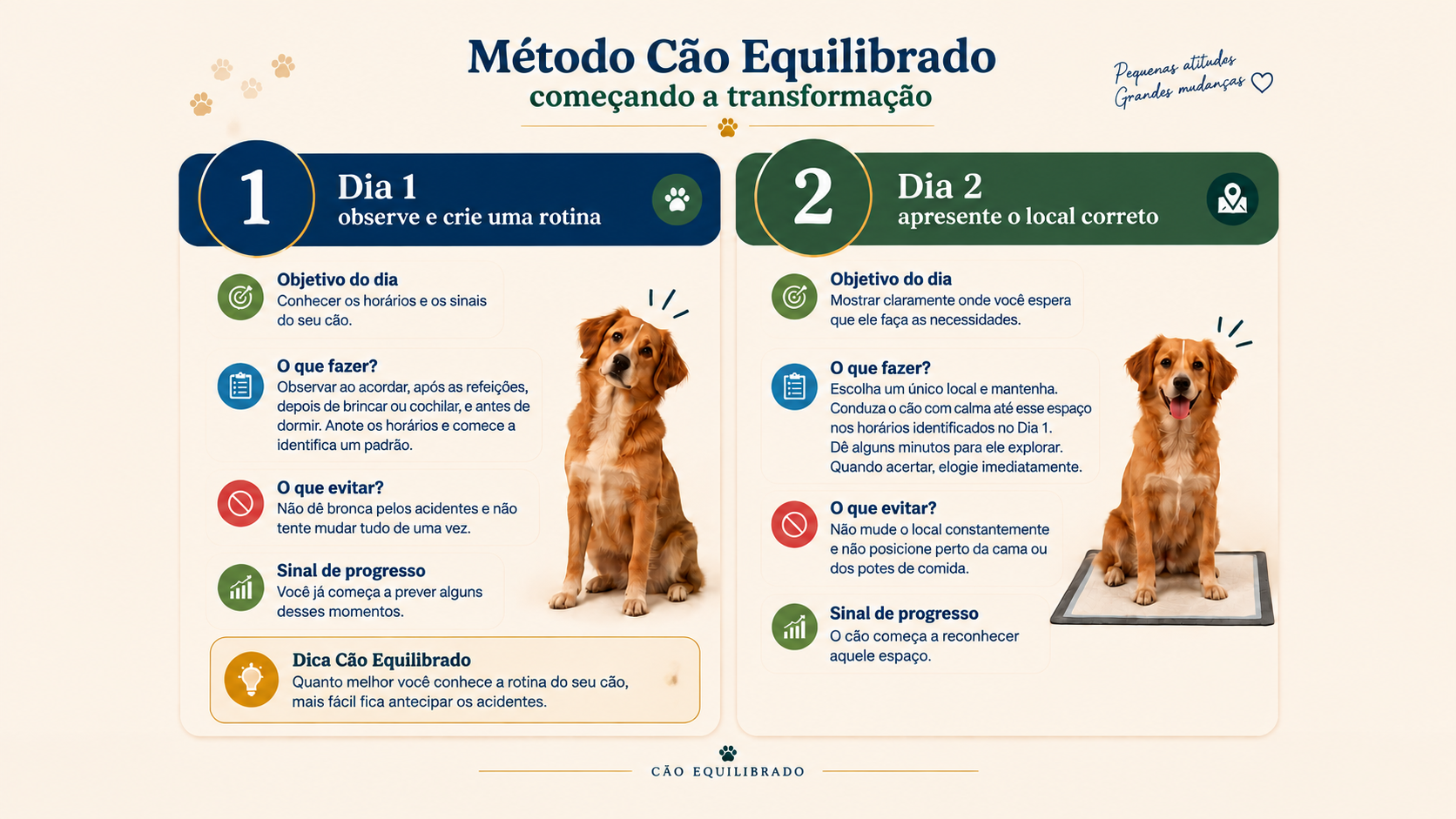 Página 6 — Dias 1 e 2