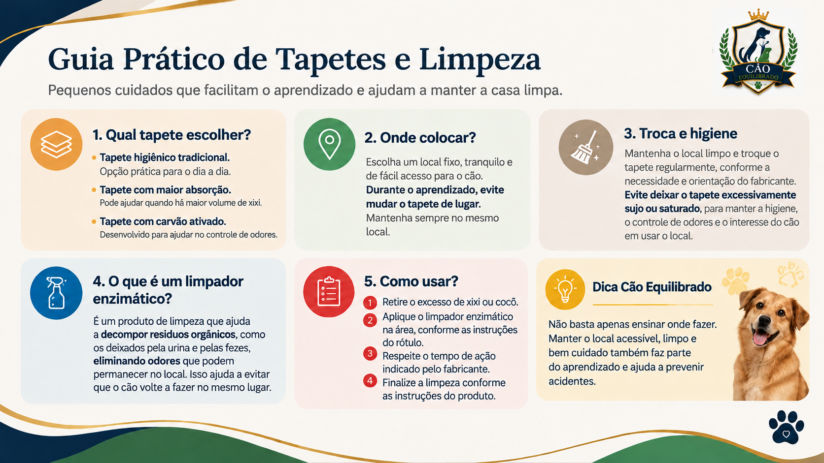 Página 10 — Guia Prático de Tapetes e Limpeza